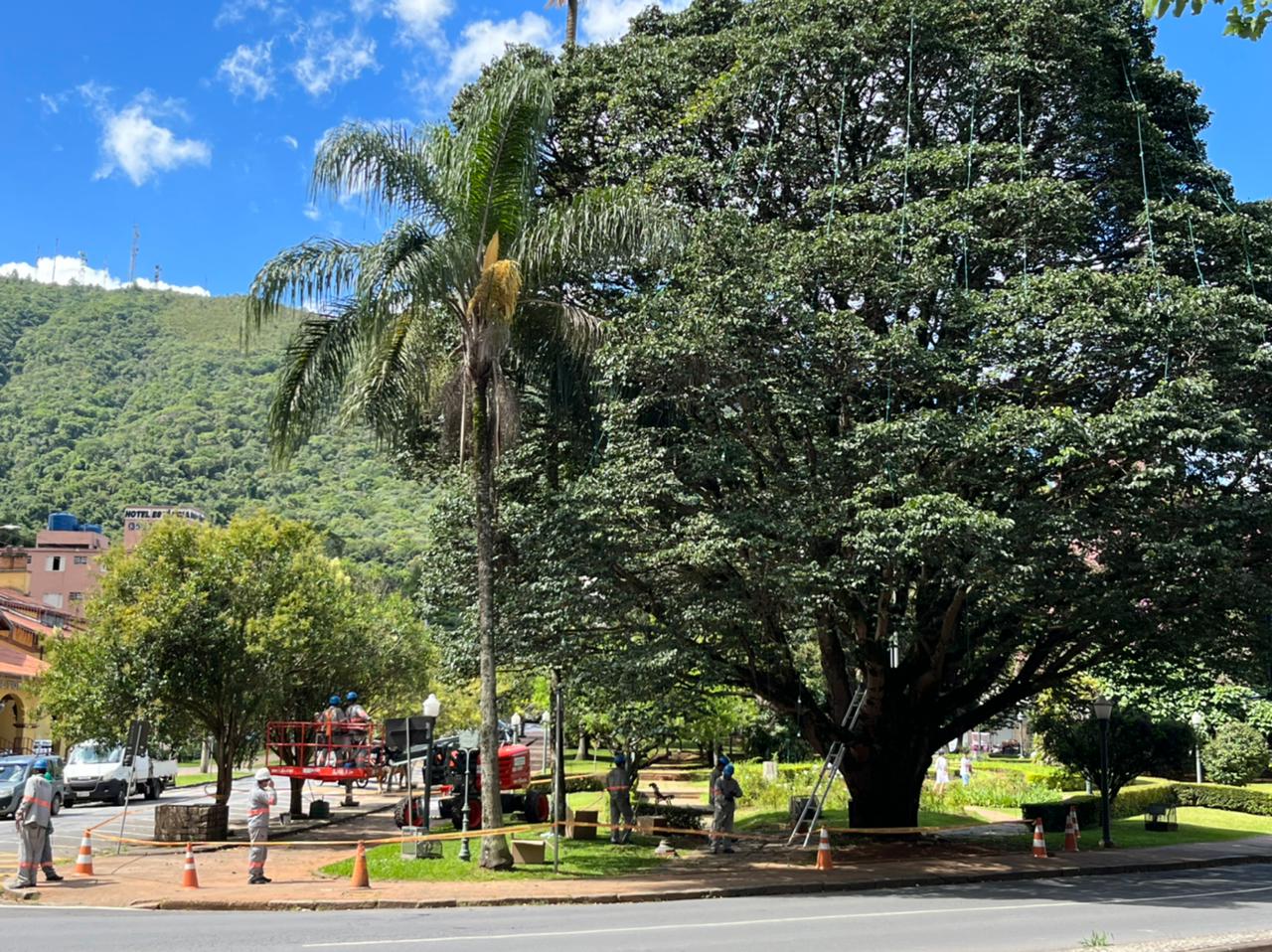 Veja como ficou a decoração de Natal em Poços de Caldas