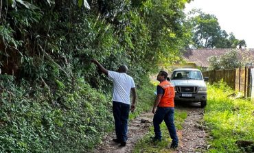 Defesa Civil realizará a retirada de árvores com risco de queda no Colégio Municipal
