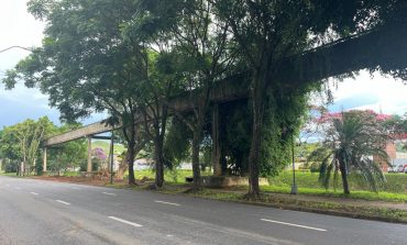 Prefeitura faz retirada de árvores que apresentam riscos à população em Poços de Caldas