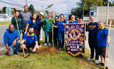 Prefeitura e Lions Clube promovem plantio de árvores