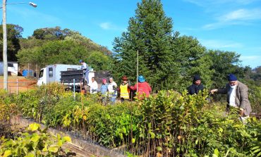 Jardim Botânico faz doação de 5 mil mudas de árvores nativas para Prefeitura