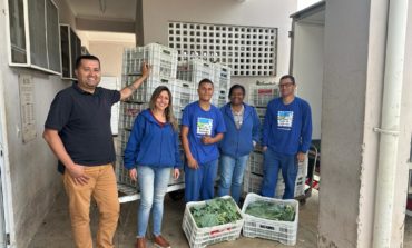 Agricultor familiar doa 30 caixas de couve ao Banco de Alimentos