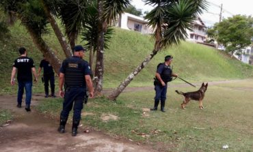 Guarda Municipal faz rondas com novo cachorro