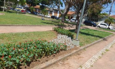 Praça na Vila Cruz Inicia Plantio de Mudas para Revitalização Paisagística
