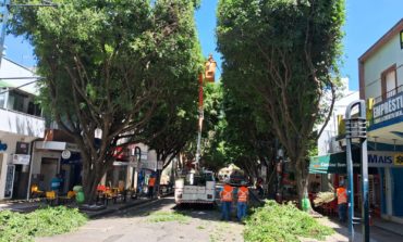 Rua São Paulo fica interditada para poda de árvores e decoração de natal