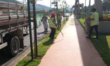 Revitalização da Avenida João Pinheiro avança para plantio de árvores e pintura no Terceiro Quarteirão
