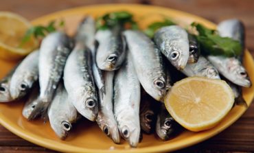 Procon divulga pesquisa de preço de peixes na quaresma