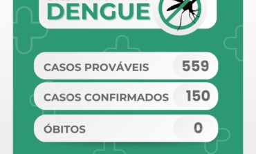 Boletim dengue: Confira os dados epidemiológicos de Poços – 02 de abril de 2024