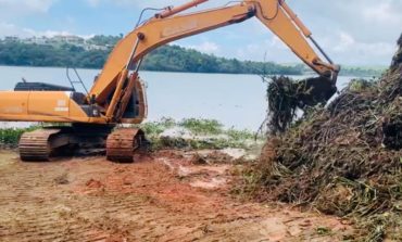 Prefeitura já retirou 200 toneladas de aguapés do Bortolan