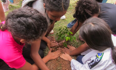 Ação Sustentável do Projeto “A Vida é da Cor que Você Pinta” encerra atividades com plantio de 195 árvores em Poços de Caldas