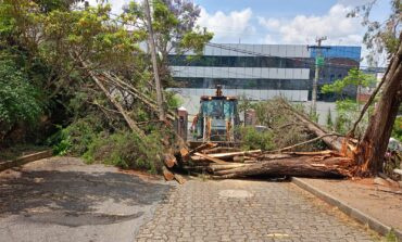 Prefeitura de Poços de Caldas mobiliza equipes após fortes chuvas causarem danos na cidade