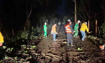 Chuva forte provoca queda de árvores, alagamentos e mobiliza equipes em Poços de Caldas